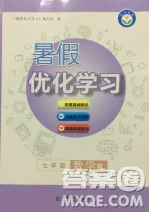 蓝天教育2019暑假优化学习七年级数学人教版答案