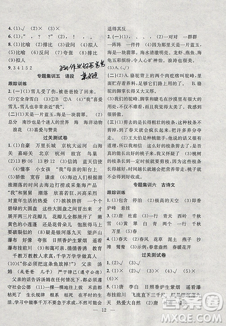 2019年暑假集训三年级语文苏教版SJ期末复习暑假作业衔接教材答案