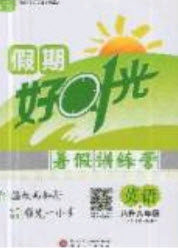 2019鲁人泰斗假期好时光暑假训练营八升九年级英语人教版答案