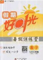 2019鲁人泰斗假期好时光暑假训练营七升八年级数学人教版答案 2019鲁人泰斗假期好时光暑假训练营七升八年级数学人教版答案