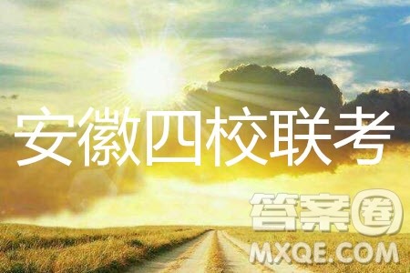 2020届安徽省高三四校联考英语试题及参考答案
