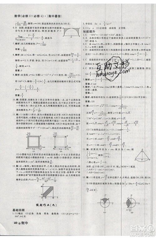 衡水金卷2019新版衡中假期暑假作业高一数学参考答案