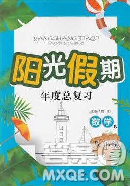 2019阳光假期年度总复习八年级数学北师大版答案