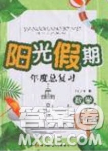 2019阳光假期年度总复习七年级数学北师大版答案