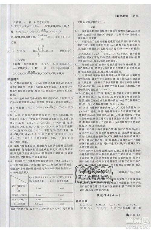 2019新版衡水金卷衡中假期暑假作业高一化学参考答案