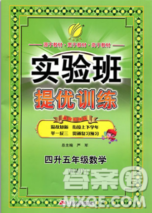 春雨教育2019实验班提优训练暑假衔接版四年级升五年级数学RJ人教版答案