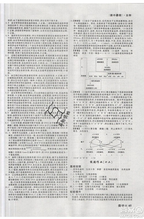 2019新版衡水金卷衡中假期暑假作业高一生物参考答案