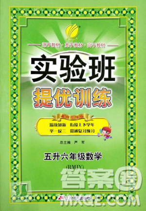 2019年实验班提优训练暑假衔接版五升六年级数学人教版答案