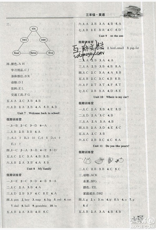 2019年度总复习精要复习总动员三年级英语人教版答案