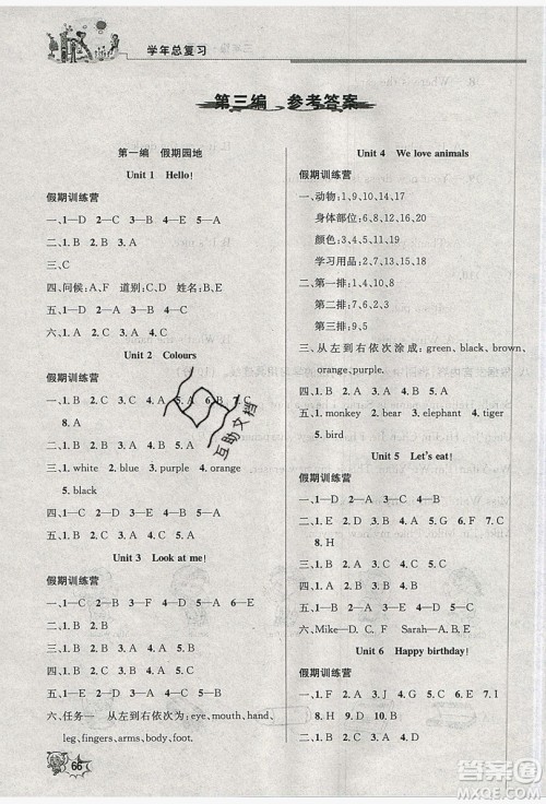 2019年度总复习精要复习总动员三年级英语人教版答案