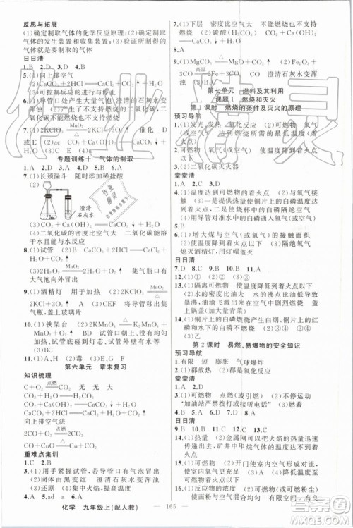 2019年四清导航九年级化学上册人教版答案