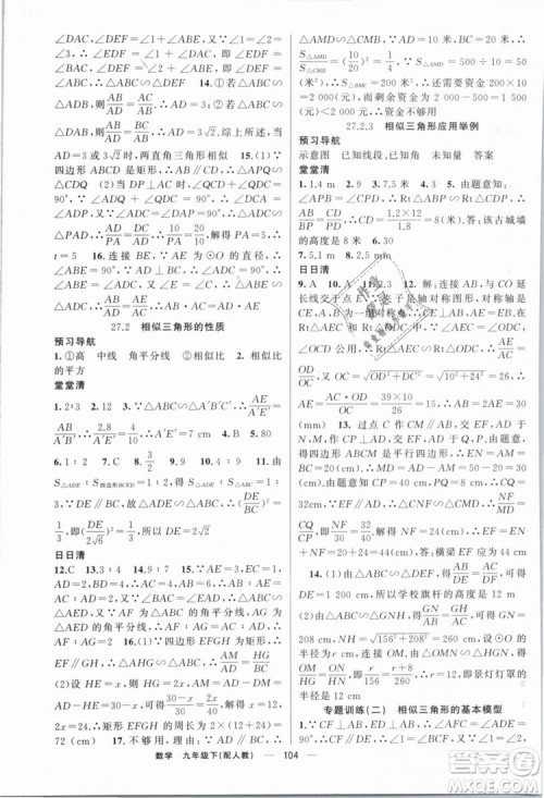 2019年四清导航九年级数学下册人教版答案 2019年四清导航九年级数学下册人教版答案