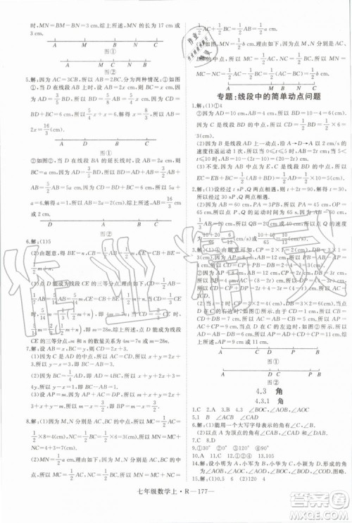 湖北专版2019年优翼学练优七年级数学上册RJ人教版参考答案