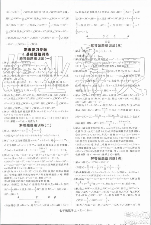 湖北专版2019年优翼学练优七年级数学上册RJ人教版参考答案