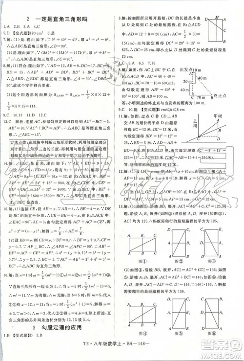 北师大版2019年优翼学练优八年级数学上册参考答案