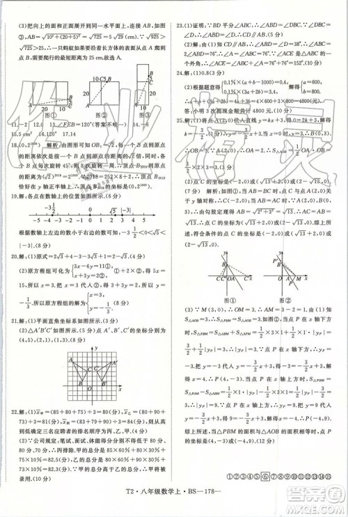 北师大版2019年优翼学练优八年级数学上册参考答案