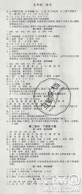 2019年假期特训年度总复习暑假五年级数学参考答案 2019年假期特训年度总复习暑假五年级数学参考答案