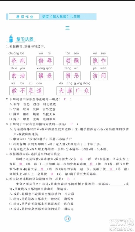 芝麻开花2019年暑假作业七年级语文人教版参考答案