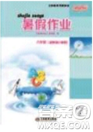 芝麻开花2020年暑假作业七年级数学人教版参考答案 芝麻开花2020年暑假作业七年级数学人教版参考答案
