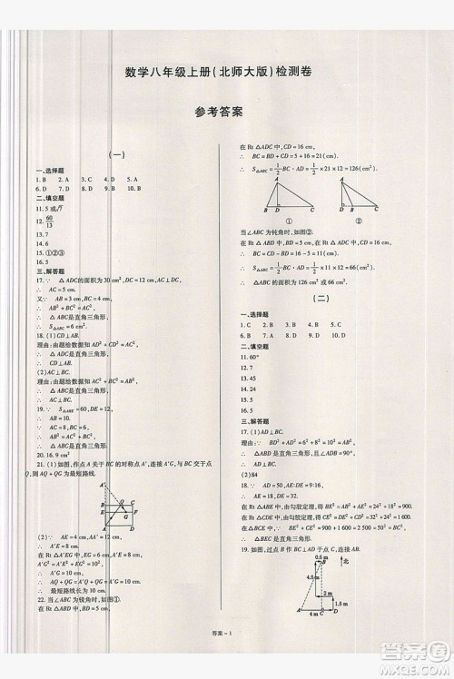 2019点击金牌学业观察八年级数学上册北师大版答案