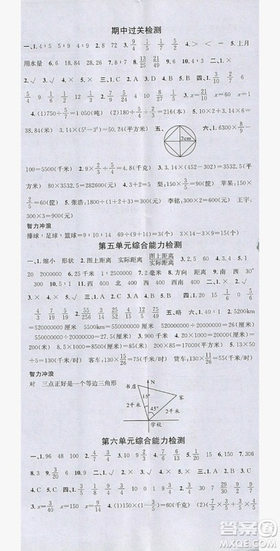 广东经济出版社2019名校课堂数学六年级上册西师大版答案