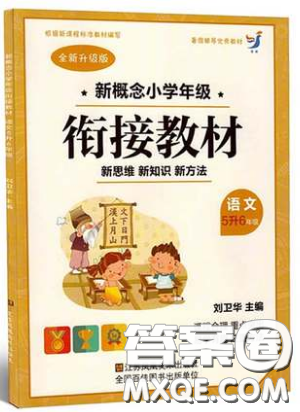 2019全新升级版5升6年级语文新概念小学年级衔接教材参考答案