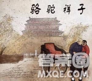 骆驼祥子思维导图高清大全 骆驼祥子思维导图初中内容手绘 骆驼祥子思维导图高清大全 骆驼祥子思维导图初中内容手绘