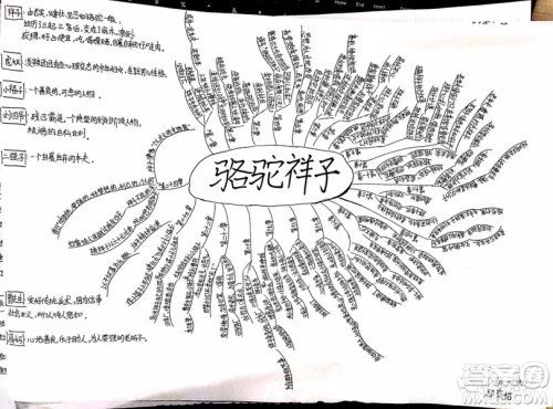 骆驼祥子思维导图高清大全 骆驼祥子思维导图初中内容手绘 骆驼祥子思维导图高清大全 骆驼祥子思维导图初中内容手绘