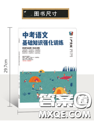 一飞冲天2019版初中中考语文基础知识强化训练九年级语文参考答案