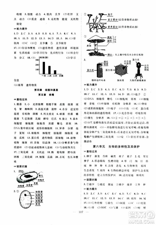 万羽文化2019年秋生物名师学案分层进阶学习法八年级上册参考答案