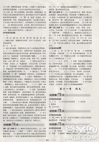 2019全国68所名牌小学小考必备考前冲刺46天语文总复习参考答案 2019全国68所名牌小学小考必备考前冲刺46天语文总复习参考答案