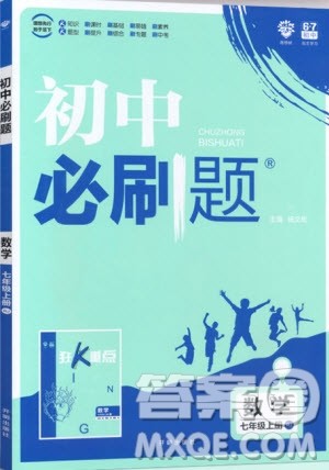 开明出版社2019新版初中必刷题七年级上册数学RJ人教版答案