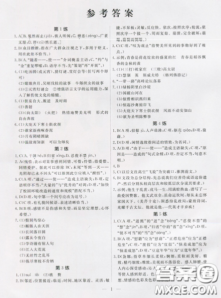 一飞冲天2019版初中中考语文基础知识强化训练九年级语文参考答案