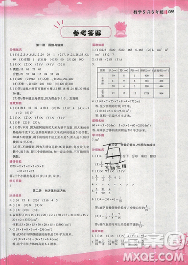 2019新概念小学年级暑假衔接教材5升6年级数学参考答案