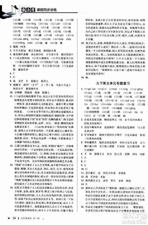 2020版教与学课程同步讲练九年级语文全一册人教版参考答案