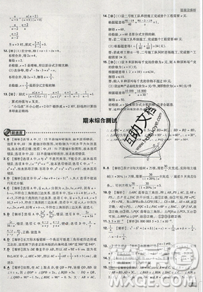 2019年新版初中必刷题八年级上册数学人教版答案