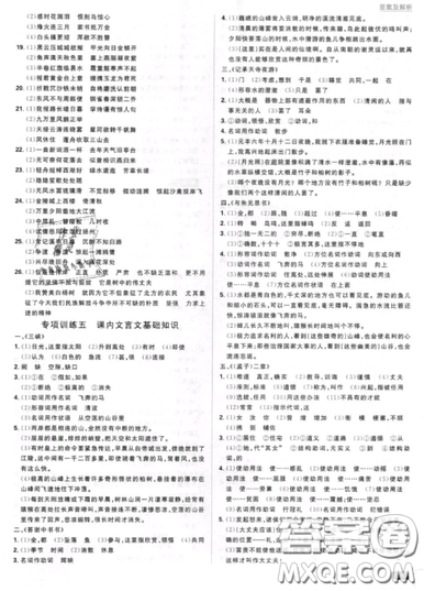 2019年新版初中必刷题八年级上册语文人教版答案