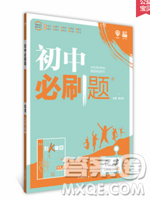 2019新版初中必刷题九年级上册化学RJ版答案