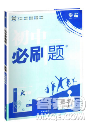 2019新版初中必刷题九年级上册数学RJ版答案