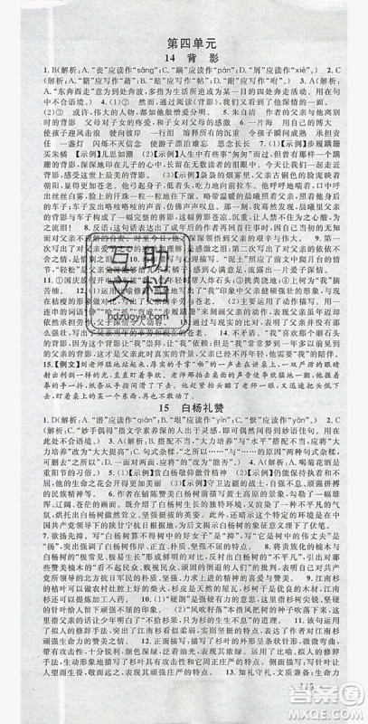 名校课堂2019年八年级语文上册人教版答案 名校课堂2019年八年级语文上册人教版答案