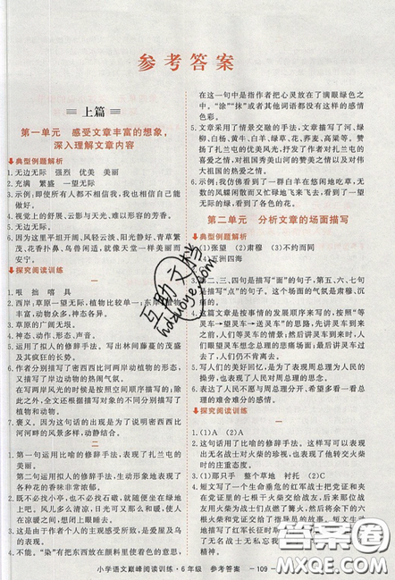 2019最新版新视野海之星小学语文巅峰阅读训练六年级参考答案
