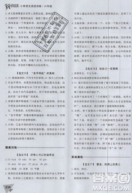 2019新版锐阅读小学语文阅读训练100篇六年级通用版参考答案