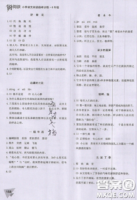 文化发展出版社2019锐阅读小学语文阅读巅峰训练六年级参考答案