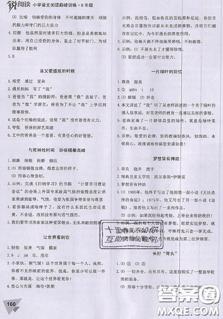 文化发展出版社2019锐阅读小学语文阅读巅峰训练六年级参考答案