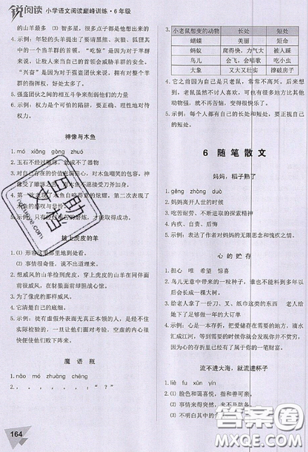 文化发展出版社2019锐阅读小学语文阅读巅峰训练六年级参考答案