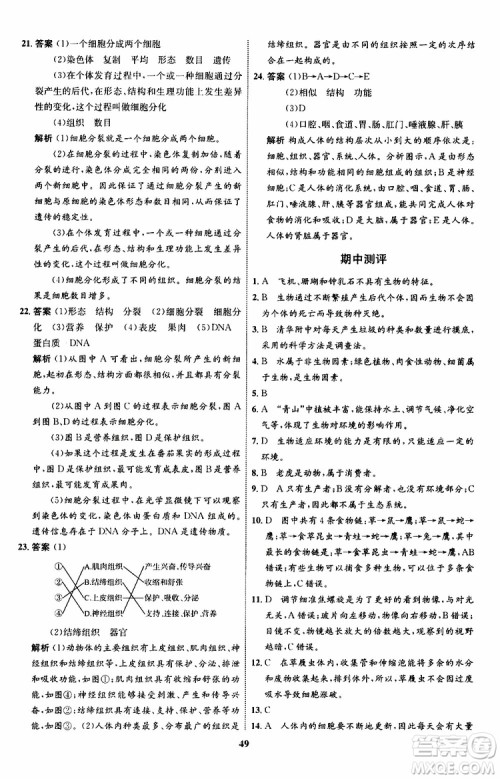 2019年初中同步学考优化设计生物七年级上册RJ人教版参考答案