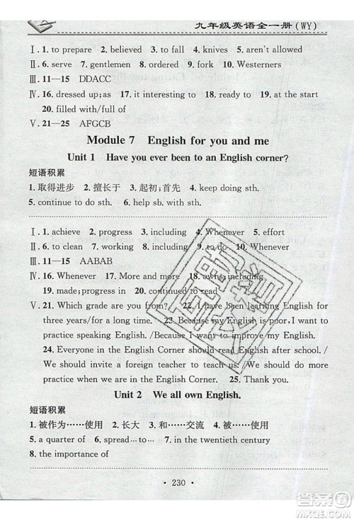 2019名校课堂小练习九年级英语全一册外研版WY答案