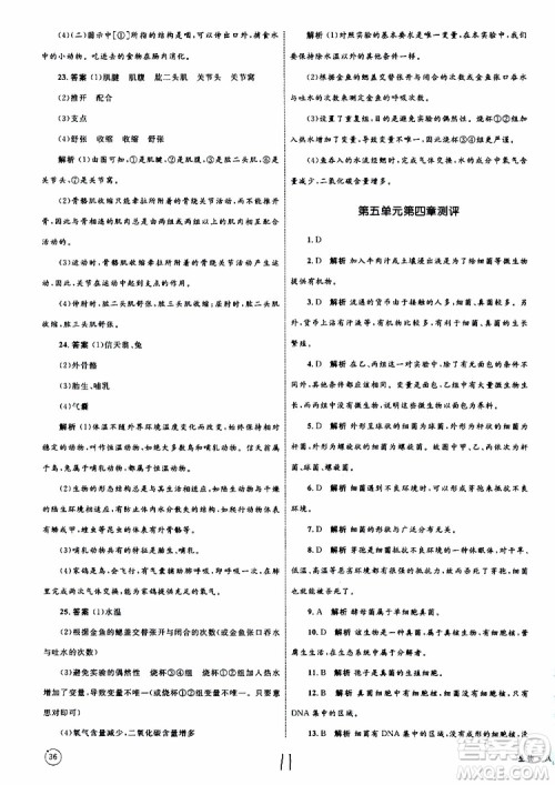 2019年优化设计单元测试卷八年级生物上册RJ人教版参考答案