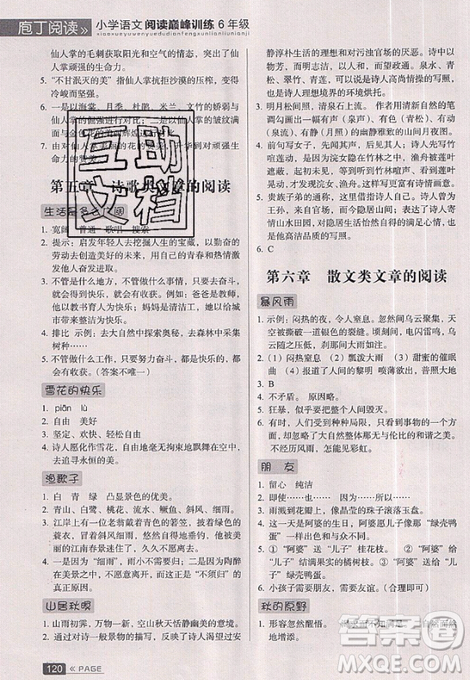 云南美术出版社2019庖丁阅读小学语文阅读巅峰训练6年级文体版参考答案