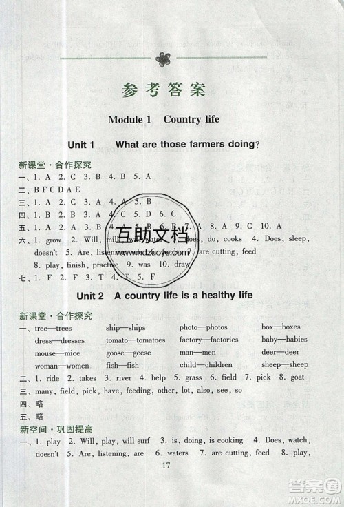 2019南方新课堂金牌学案六年级英语上册教育科学版答案